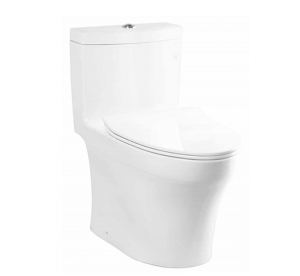 TOTO One-piece Toilet Bowl