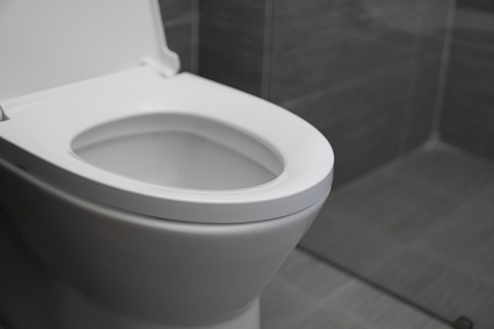 Is Your Toilet Bowl Making You Sick? Hygiene Mistakes To Avoid