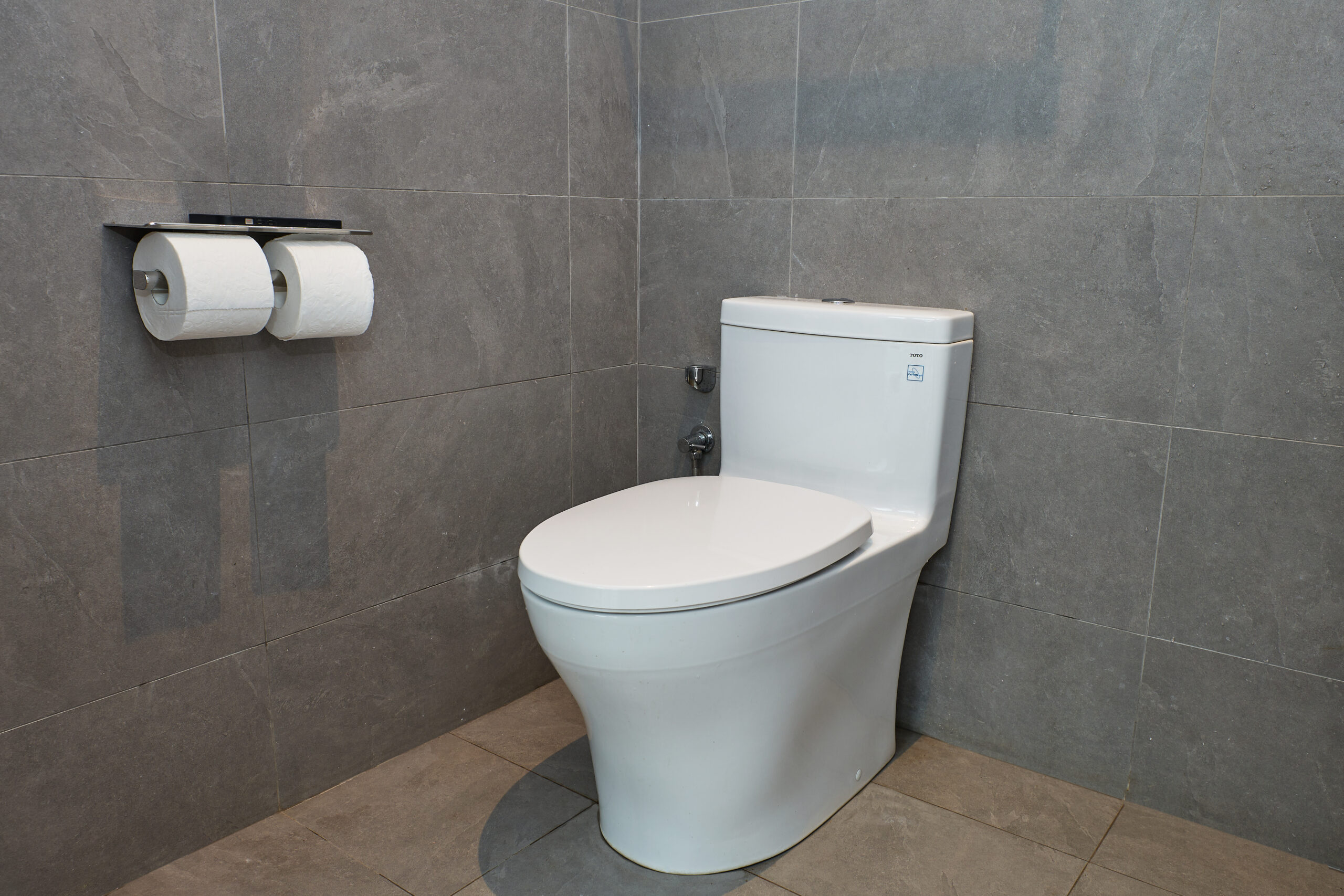 Modern Bathroom Integration