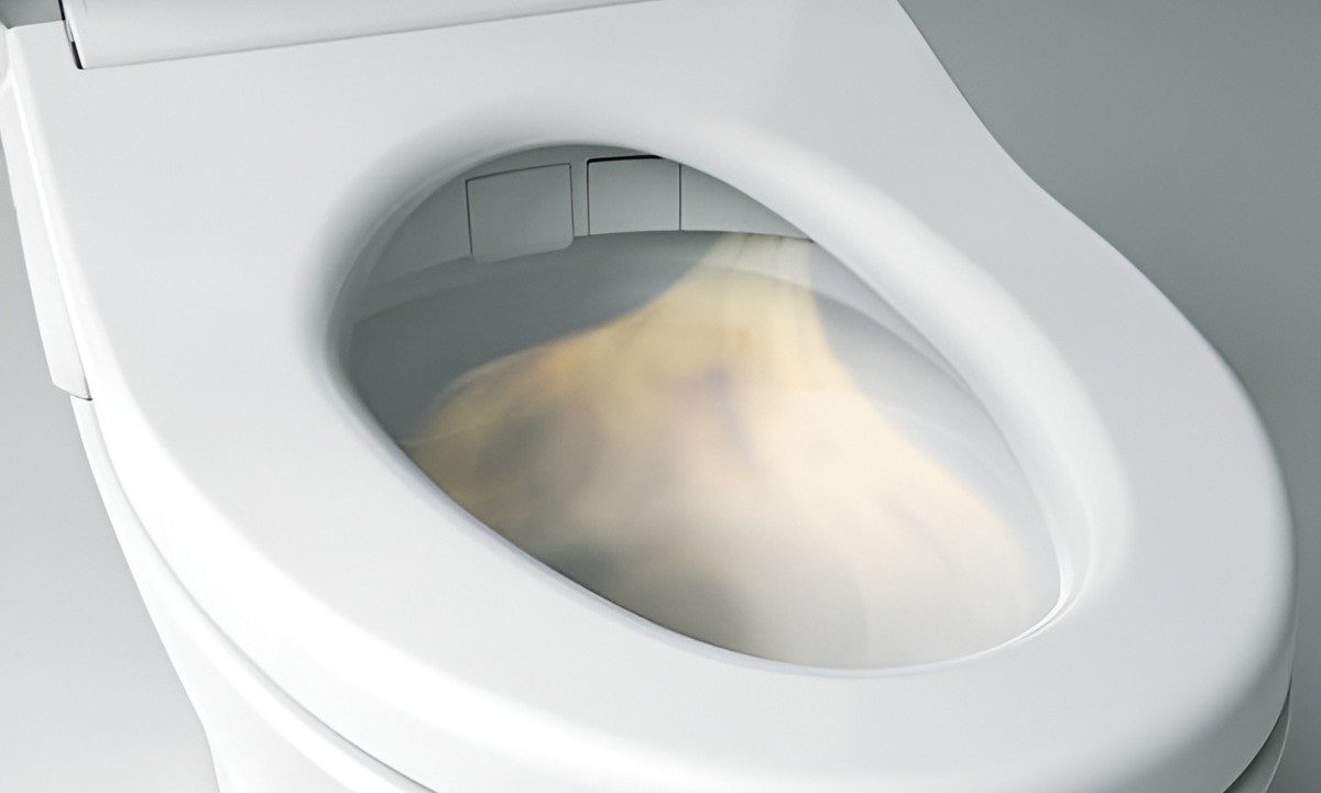 The Toilet That Deodorises the Air Automatically